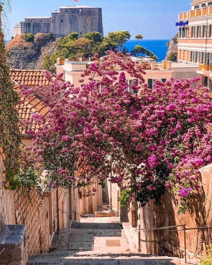House Nina Leilighet Dubrovnik Eksteriør bilde