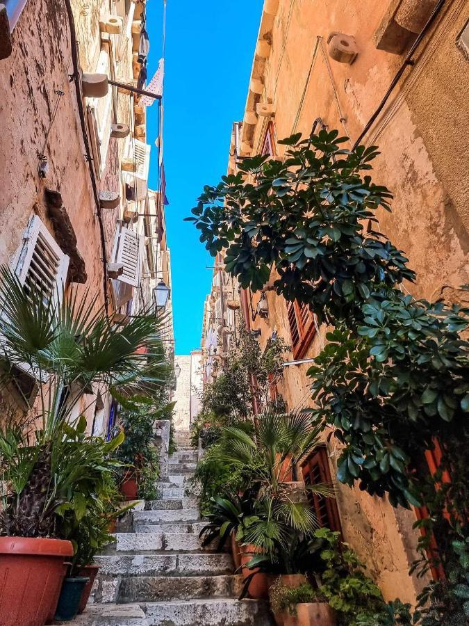 House Nina Leilighet Dubrovnik Eksteriør bilde